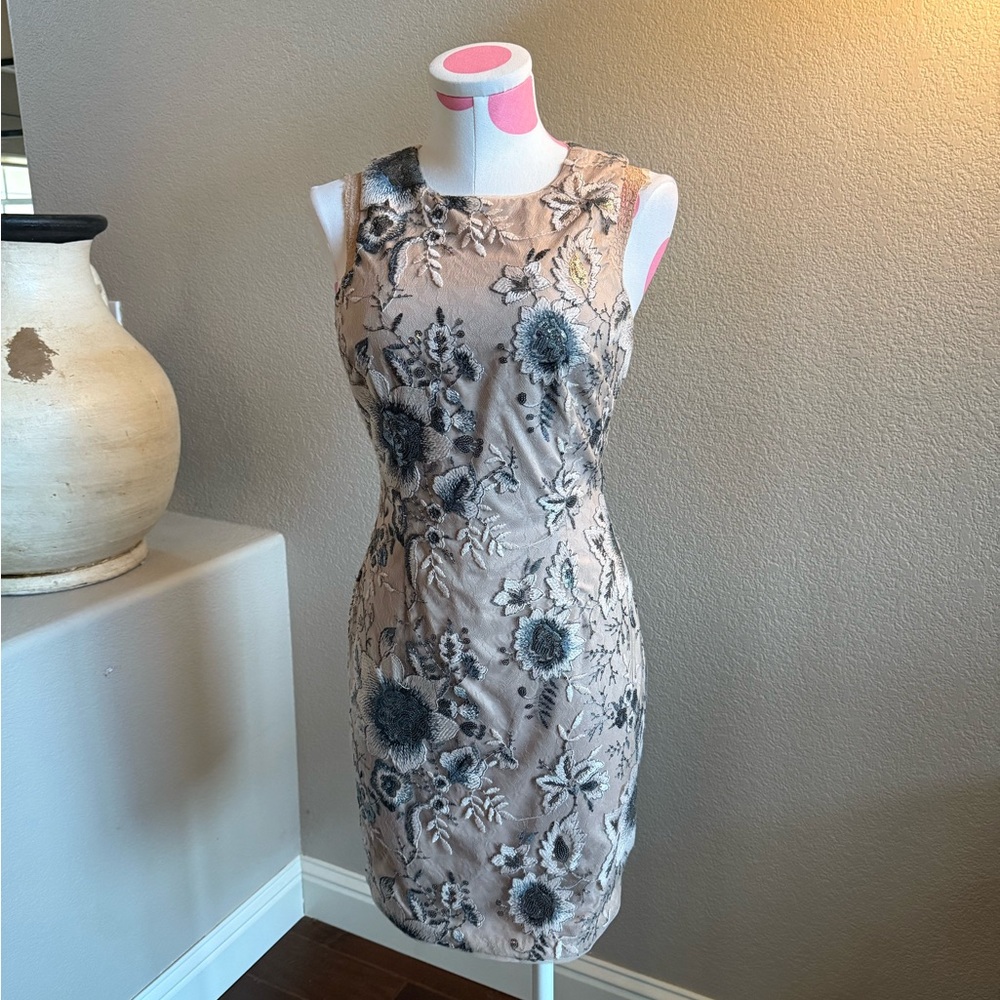 Aidan AIDAN MATTOX Embroidered Sequin  Dress, Champagne and Silver, Size 6